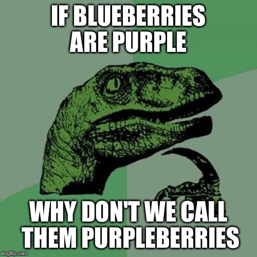 Blueberries or purpleberries that is the question  | IF BLUEBERRIES ARE PURPLE; WHY DON'T WE CALL THEM PURPLEBERRIES | image tagged in memes,philosoraptor | made w/ Imgflip meme maker