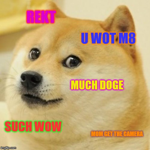 Doge Meme | REKT; U WOT M8; MUCH DOGE; SUCH WOW; MOM GET THE CAMERA | image tagged in memes,doge | made w/ Imgflip meme maker