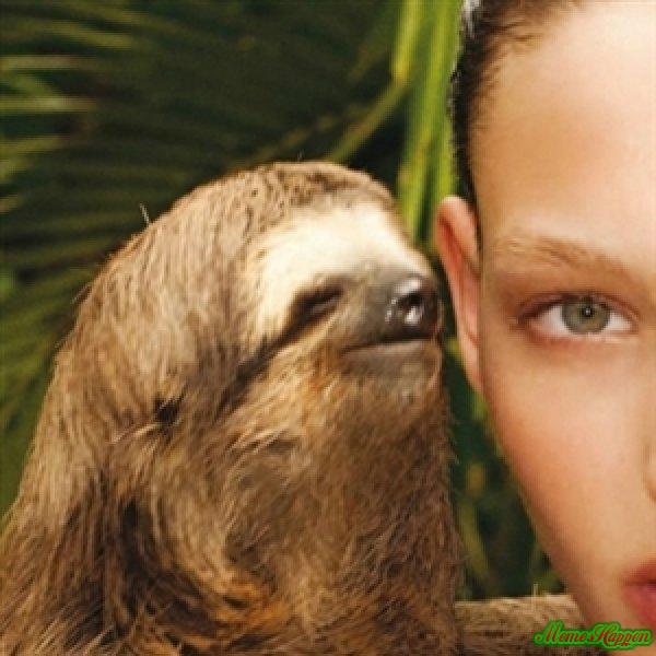 sloth whisper Blank Meme Template