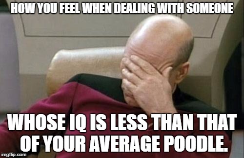 Captain Picard Facepalm | HOW YOU FEEL WHEN DEALING WITH SOMEONE; WHOSE IQ IS LESS THAN THAT OF YOUR AVERAGE POODLE. | image tagged in memes,captain picard facepalm | made w/ Imgflip meme maker