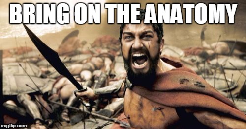 Sparta Leonidas | BRING ON THE ANATOMY | image tagged in memes,sparta leonidas | made w/ Imgflip meme maker
