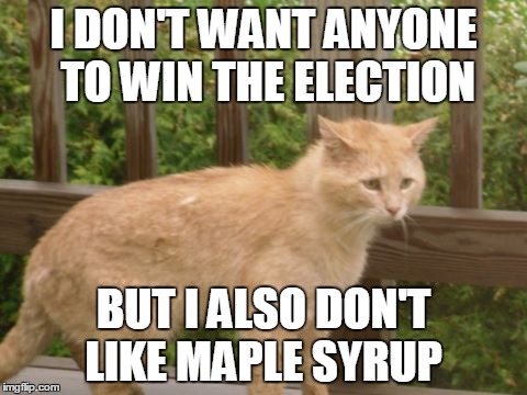 election woes | I DON'T WANT ANYONE TO WIN THE ELECTION; BUT I ALSO DON'T LIKE MAPLE SYRUP | image tagged in memes,cat memes,funny cat memes,politics,political memes,canada | made w/ Imgflip meme maker