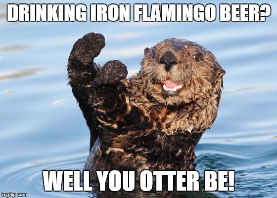 otter celebration | DRINKING IRON FLAMINGO BEER? WELL YOU OTTER BE! | image tagged in otter celebration | made w/ Imgflip meme maker