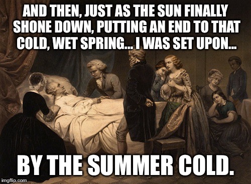 death bed | AND THEN, JUST AS THE SUN FINALLY SHONE DOWN, PUTTING AN END TO THAT COLD, WET SPRING... I WAS SET UPON... BY THE SUMMER COLD. | image tagged in death bed | made w/ Imgflip meme maker