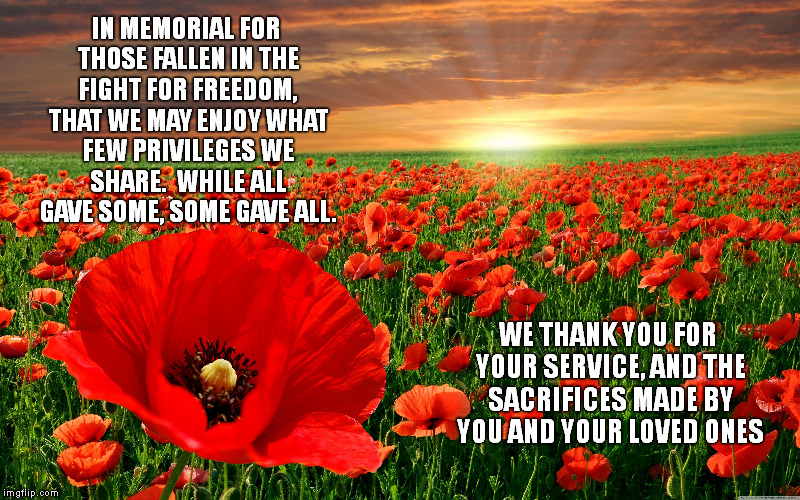 Thank you, brothers and sisters.  You are not forgotten. | IN MEMORIAL FOR THOSE FALLEN IN THE FIGHT FOR FREEDOM, THAT WE MAY ENJOY WHAT FEW PRIVILEGES WE SHARE.  WHILE ALL GAVE SOME, SOME GAVE ALL. WE THANK YOU FOR YOUR SERVICE, AND THE SACRIFICES MADE BY YOU AND YOUR LOVED ONES | image tagged in memes,memorial poppies,memorial day,thank you for your service | made w/ Imgflip meme maker