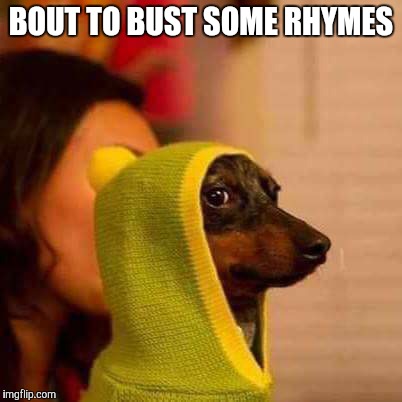 Rapping Wiener | BOUT TO BUST SOME RHYMES | image tagged in dogs,rap,wiener | made w/ Imgflip meme maker