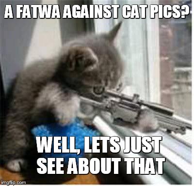 AMERCIAN SNIPERCAT VS FATWA | A FATWA AGAINST CAT PICS? WELL, LETS JUST SEE ABOUT THAT | image tagged in cats with guns,islam,muslim,middle east,american sniper | made w/ Imgflip meme maker