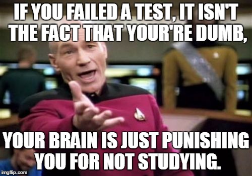 Your brain is your guardian...Most of the time. | IF YOU FAILED A TEST, IT ISN'T THE FACT THAT YOUR'RE DUMB, YOUR BRAIN IS JUST PUNISHING YOU FOR NOT STUDYING. | image tagged in memes,picard wtf,brain,study,test | made w/ Imgflip meme maker
