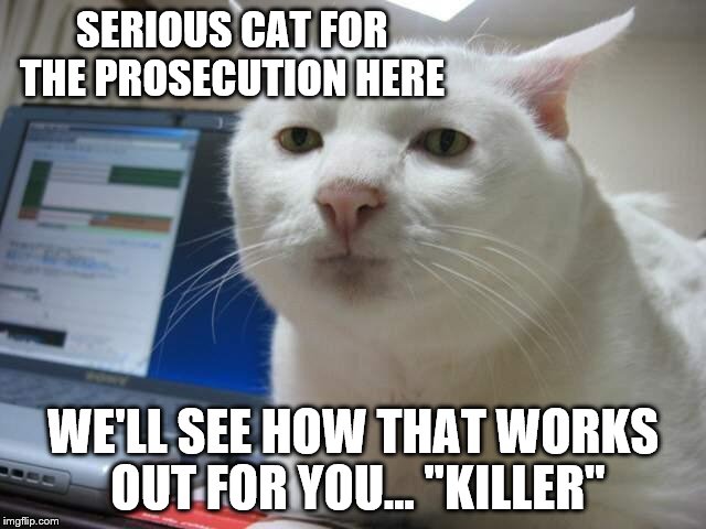 SERIOUS CAT FOR THE PROSECUTION HERE WE'LL SEE HOW THAT WORKS OUT FOR YOU... "KILLER" | made w/ Imgflip meme maker