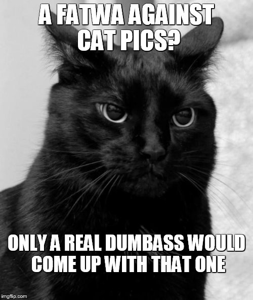 CAT PIC FATWA? | A FATWA AGAINST CAT PICS? ONLY A REAL DUMBASS WOULD COME UP WITH THAT ONE | image tagged in black cat pissed,islam,muslim,middle east,cats | made w/ Imgflip meme maker