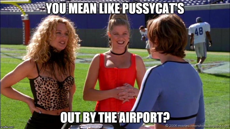 YOU MEAN LIKE PUSSYCAT'S OUT BY THE AIRPORT? | made w/ Imgflip meme maker