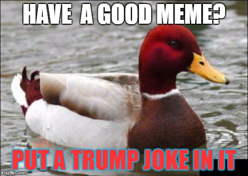 Malicious Advice Mallard | HAVE  A GOOD MEME? PUT A TRUMP JOKE IN IT | image tagged in memes,malicious advice mallard | made w/ Imgflip meme maker