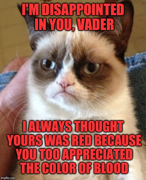 Grumpy Cat Meme | I'M DISAPPOINTED IN YOU, VADER I ALWAYS THOUGHT YOURS WAS RED BECAUSE YOU TOO APPRECIATED THE COLOR OF BLOOD | image tagged in memes,grumpy cat | made w/ Imgflip meme maker