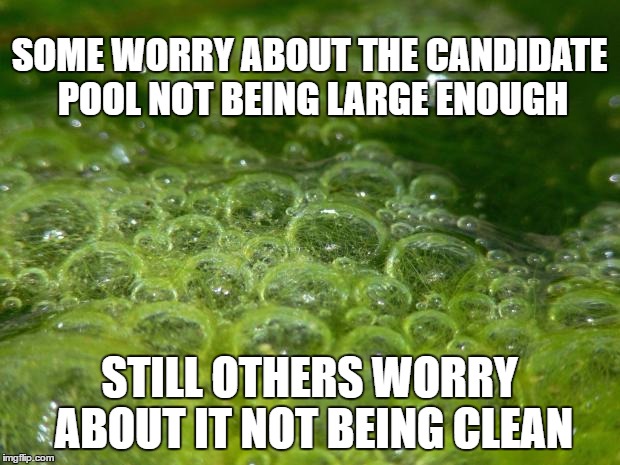 REPLACING THE ADMINISTRATOR OF SPECIAL ED | SOME WORRY ABOUT THE CANDIDATE POOL NOT BEING LARGE ENOUGH; STILL OTHERS WORRY ABOUT IT NOT BEING CLEAN | image tagged in unpopular opinion pond scum,politics,school committee | made w/ Imgflip meme maker