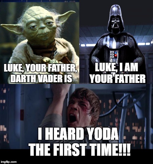 Star Wars No | LUKE, I AM YOUR FATHER; LUKE, YOUR FATHER, DARTH VADER IS; I HEARD YODA THE FIRST TIME!!! | image tagged in memes,star wars no | made w/ Imgflip meme maker