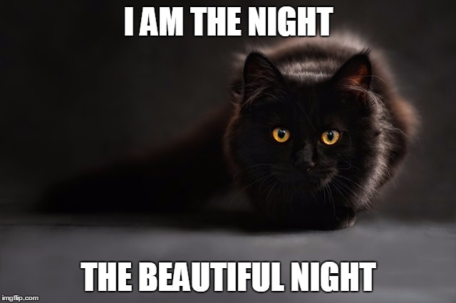 I AM THE NIGHT; THE BEAUTIFUL NIGHT | image tagged in black cat,fat black cat,cats,hunter,hunter cat | made w/ Imgflip meme maker