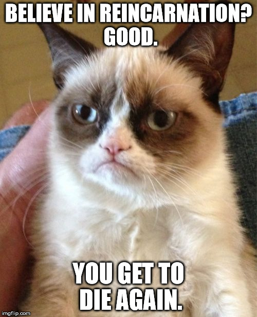 Grumpy Cat Meme | BELIEVE IN REINCARNATION? GOOD. YOU GET TO DIE AGAIN. | image tagged in memes,grumpy cat | made w/ Imgflip meme maker