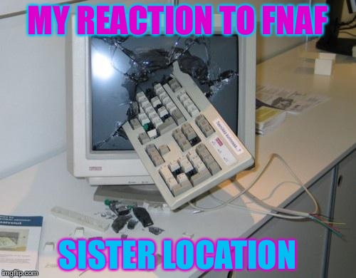 FNAF rage | MY REACTION TO FNAF; SISTER LOCATION | image tagged in fnaf rage | made w/ Imgflip meme maker