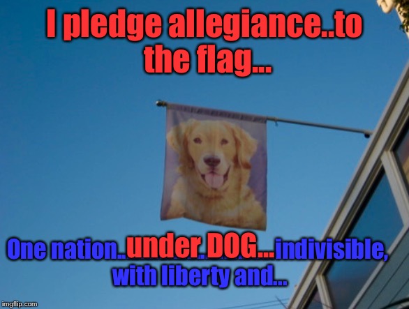 When I Saw THIS?? Inspiration Just Took Over... |  I pledge allegiance..to the flag... One nation..................................indivisible, with liberty and... under DOG... | image tagged in memes,funny dogs,dogs | made w/ Imgflip meme maker