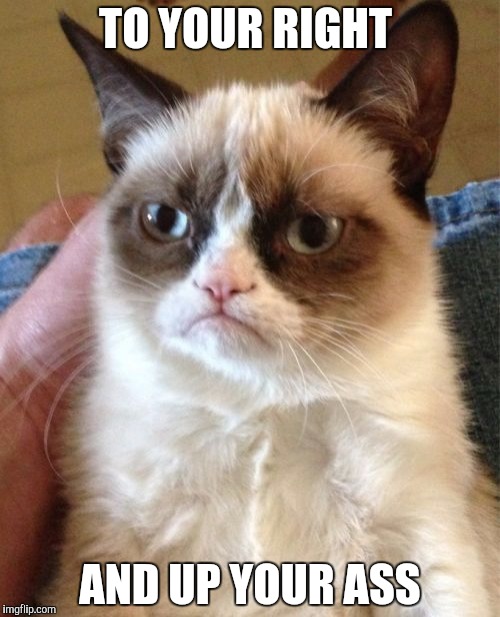 Grumpy Cat Meme | TO YOUR RIGHT AND UP YOUR ASS | image tagged in memes,grumpy cat | made w/ Imgflip meme maker