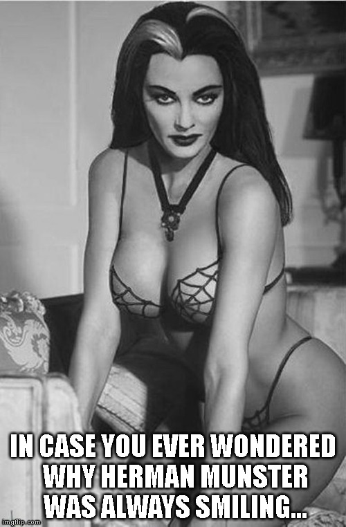 Lilly Munster | IN CASE YOU EVER WONDERED WHY HERMAN MUNSTER WAS ALWAYS SMILING... | image tagged in whyhermanwasalwayssmiling | made w/ Imgflip meme maker