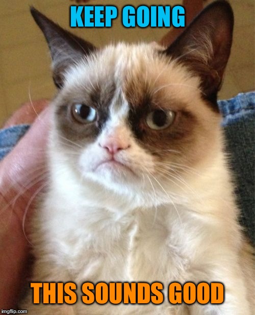 Grumpy Cat Meme | KEEP GOING THIS SOUNDS GOOD | image tagged in memes,grumpy cat | made w/ Imgflip meme maker