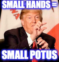 SMALL HANDS =; SMALL POTUS | image tagged in trump littlehands | made w/ Imgflip meme maker