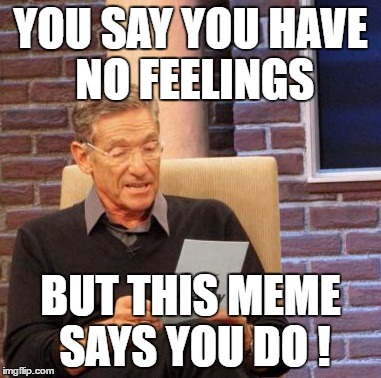 Maury Lie Detector | YOU SAY YOU HAVE NO FEELINGS; BUT THIS MEME SAYS YOU DO ! | image tagged in memes,maury lie detector | made w/ Imgflip meme maker