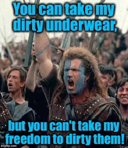 You can take my dirty underwear, but you can't take my freedom to dirty them! | made w/ Imgflip meme maker