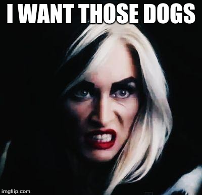 I WANT THOSE DOGS | made w/ Imgflip meme maker