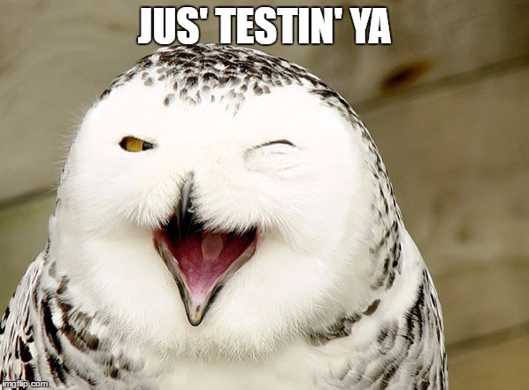 Jus' Testin' Ya |  JUS' TESTIN' YA | image tagged in memes,just testing you | made w/ Imgflip meme maker