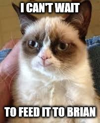 Grumpy Cat Happy Meme | I CAN'T WAIT TO FEED IT TO BRIAN | image tagged in grumpy cat smile | made w/ Imgflip meme maker