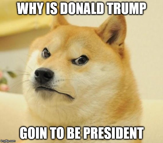 Mad doge | WHY IS DONALD TRUMP; GOIN TO BE PRESIDENT | image tagged in mad doge | made w/ Imgflip meme maker