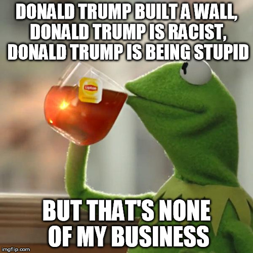 But That's None Of My Business | DONALD TRUMP BUILT A WALL, DONALD TRUMP IS RACIST, DONALD TRUMP IS BEING STUPID; BUT THAT'S NONE OF MY BUSINESS | image tagged in memes,but thats none of my business,kermit the frog | made w/ Imgflip meme maker