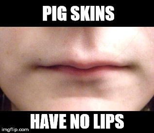 PIG SKINS; HAVE NO LIPS | image tagged in white people lips | made w/ Imgflip meme maker