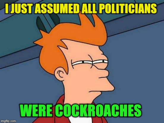 Futurama Fry Meme | I JUST ASSUMED ALL POLITICIANS WERE COCKROACHES | image tagged in memes,futurama fry | made w/ Imgflip meme maker