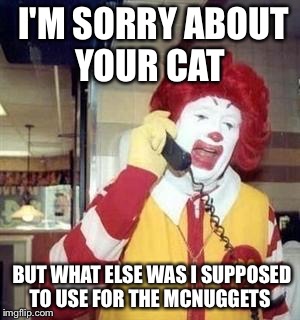 Ronald McDonald Temp | I'M SORRY ABOUT YOUR CAT; BUT WHAT ELSE WAS I SUPPOSED TO USE FOR THE MCNUGGETS | image tagged in ronald mcdonald temp | made w/ Imgflip meme maker