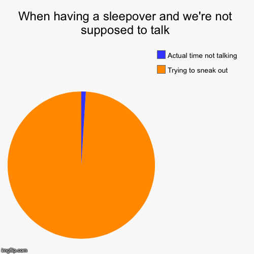 My huge sleepover yesterday | image tagged in funny,pie charts | made w/ Imgflip chart maker