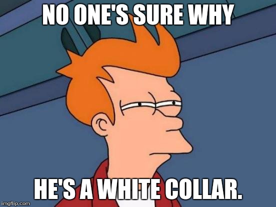 Futurama Fry Meme | NO ONE'S SURE WHY HE'S A WHITE COLLAR. | image tagged in memes,futurama fry | made w/ Imgflip meme maker