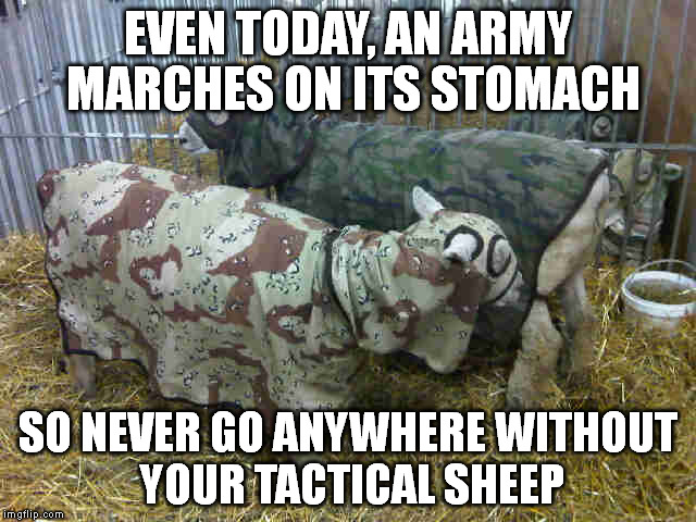 Someone tell Specialist Schwarz that I am not interested in why he has inflatable tactical sheep decoy's | EVEN TODAY, AN ARMY MARCHES ON ITS STOMACH; SO NEVER GO ANYWHERE WITHOUT YOUR TACTICAL SHEEP | image tagged in skippy's list,memes,funny,old internet | made w/ Imgflip meme maker