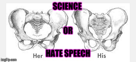 Insensitive science | SCIENCE; OR; HATE SPEECH | image tagged in science,biology,transgender,hate,rage,skeleton | made w/ Imgflip meme maker