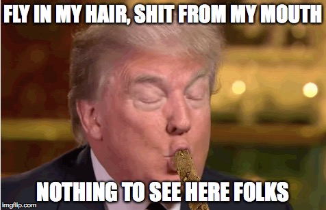 poopy donald drumpf | FLY IN MY HAIR, SHIT FROM MY MOUTH; NOTHING TO SEE HERE FOLKS | image tagged in trump | made w/ Imgflip meme maker
