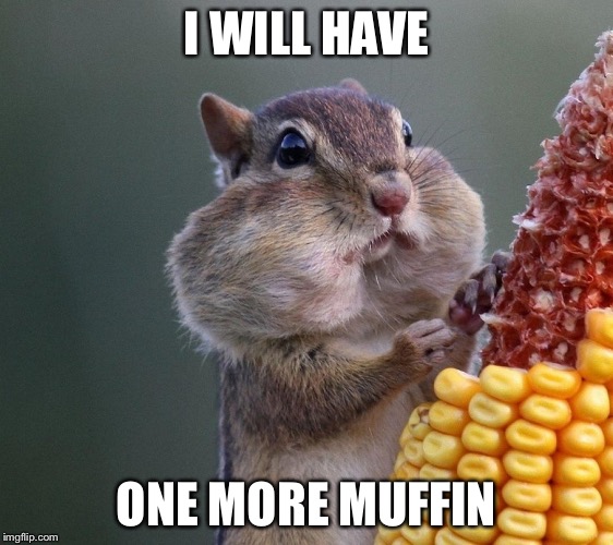 Thanksgiving Squirrel | I WILL HAVE; ONE MORE MUFFIN | image tagged in thanksgiving squirrel | made w/ Imgflip meme maker