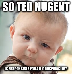 Skeptical Baby Meme | SO TED NUGENT IS RESPONSIBLE FOR ALL CONSPIRACIES? | image tagged in memes,skeptical baby | made w/ Imgflip meme maker