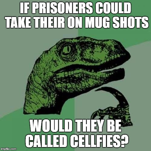 Philosoraptor Meme | IF PRISONERS COULD TAKE THEIR ON MUG SHOTS; WOULD THEY BE CALLED CELLFIES? | image tagged in memes,philosoraptor | made w/ Imgflip meme maker
