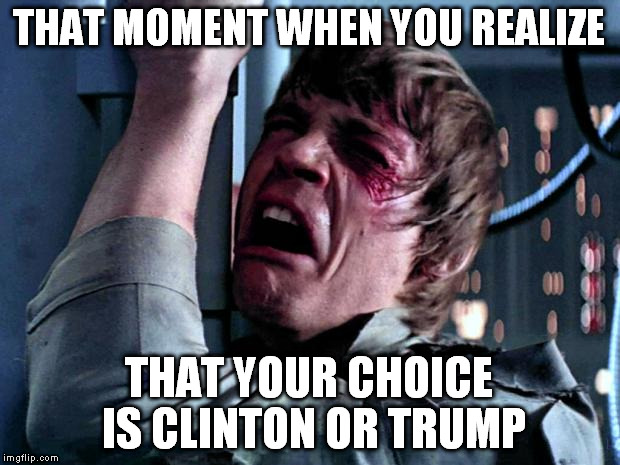 Oh Hobson, what have you done... | THAT MOMENT WHEN YOU REALIZE; THAT YOUR CHOICE IS CLINTON OR TRUMP | image tagged in luke skywalker hillary clinton donald trump election 2016 | made w/ Imgflip meme maker