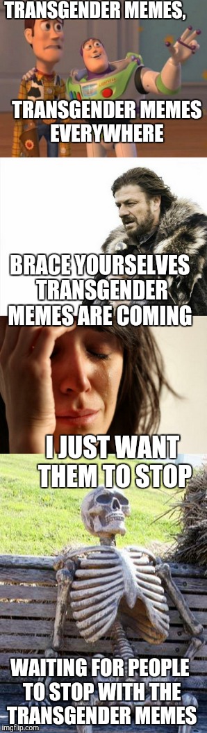 Seriously everyone. These memes need to stop. They are getting really annoying. | TRANSGENDER MEMES, TRANSGENDER MEMES EVERYWHERE; BRACE YOURSELVES TRANSGENDER MEMES ARE COMING; I JUST WANT THEM TO STOP; WAITING FOR PEOPLE TO STOP WITH THE TRANSGENDER MEMES | image tagged in brace yourselves x is coming,first world problems,x x everywhere,waiting skeleton,memes | made w/ Imgflip meme maker