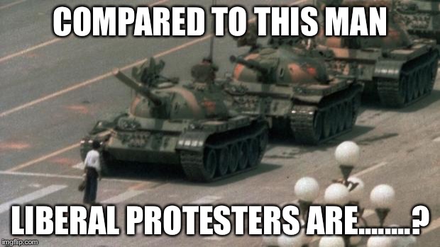 Peaceful protest | COMPARED TO THIS MAN; LIBERAL PROTESTERS ARE........? | image tagged in peaceful protest | made w/ Imgflip meme maker