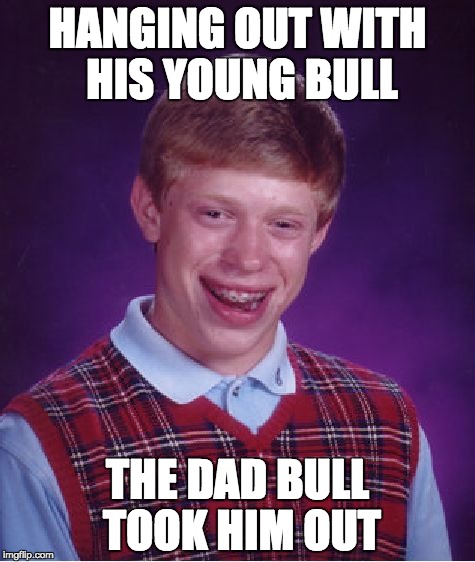 Bad Luck Brian | HANGING OUT WITH HIS YOUNG BULL; THE DAD BULL TOOK HIM OUT | image tagged in memes,bad luck brian | made w/ Imgflip meme maker
