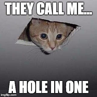 Ceiling Cat | THEY CALL ME... A HOLE IN ONE | image tagged in memes,ceiling cat | made w/ Imgflip meme maker